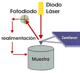 Principio de funcionamiento de un AFM