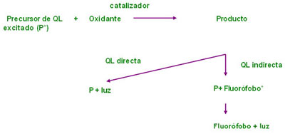 Esquema de los mecanismos descriptos