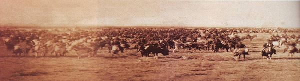 Campa_a_del_Desierto_1879.JPG