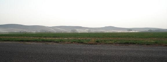 Watering_alfalfa_field.JPG