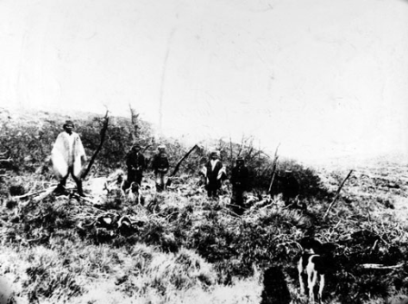 Indios del territorio argentino Foto antigua de indios caminando por el territorio