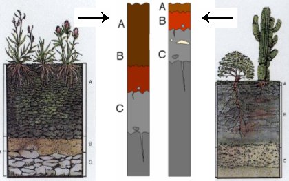 Estratificación de dos tipos distintos de suelo