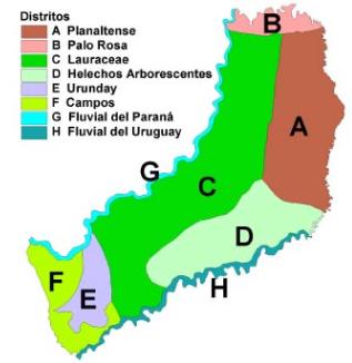 bioma misiones 05 Mapa que detalla los distritos fitogeográficos de la provincia