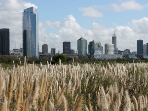 800px-Buenos_aires_from_the_natural_reserve_(5308)