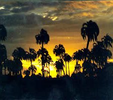 Atardecer en el Palmar de Colón