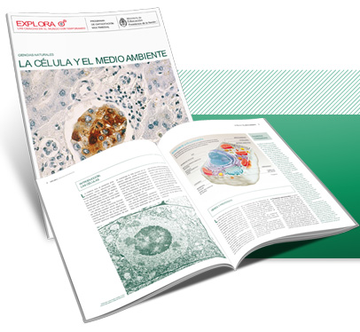 La Célula y el Medioambiente
