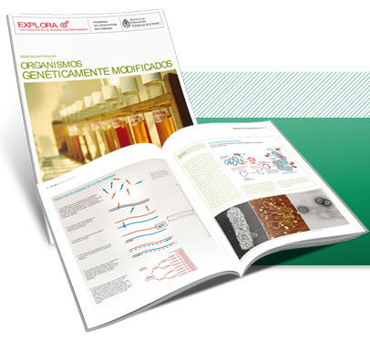 Organismos Genéticamente Modificados